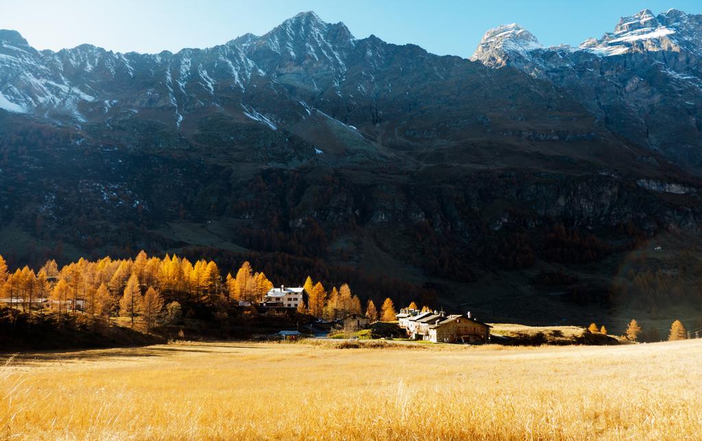 Les Neiges D'Antan Hotel Breuil-Cervinia Bagian luar foto